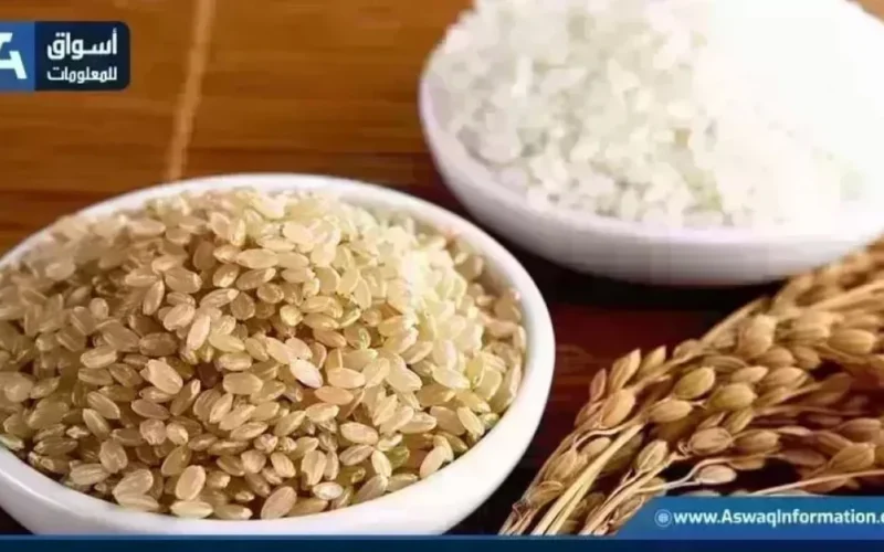 انخفاض سعر طن الأرز الشعير في الأسواق المصرية الاثنين